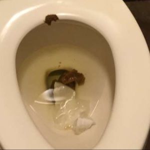 Meet your Posher, Vincent